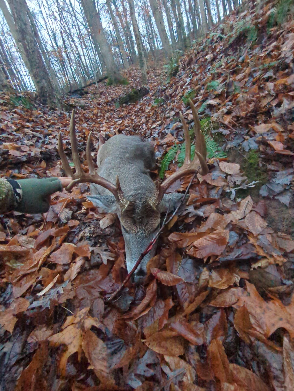 130 class 10 point taken in West Virgina