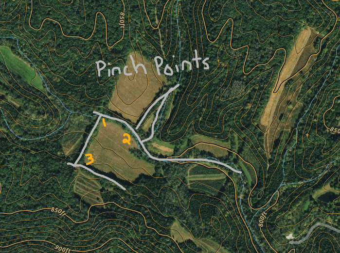 10 Proven Deer Funnels and Pinch Points That Will Transform Your Hunting Success
