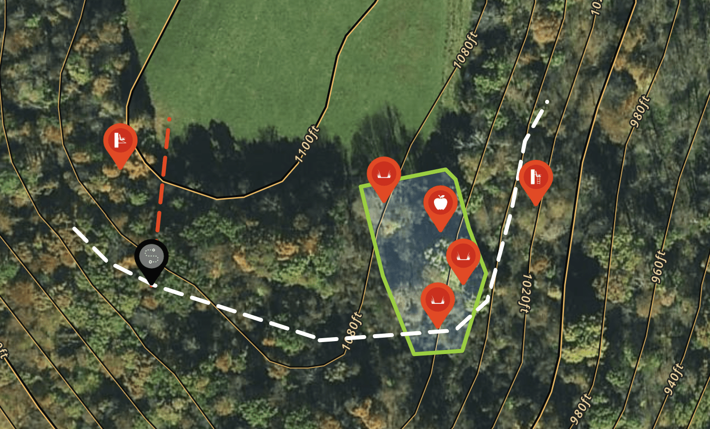 3 Best Times To Hunt the Rut (The Complete Timing Breakdown)