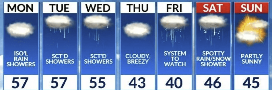 5 Proven Tips for When to Plant Deer Food Plots (Timing, Equipment & Strategy)